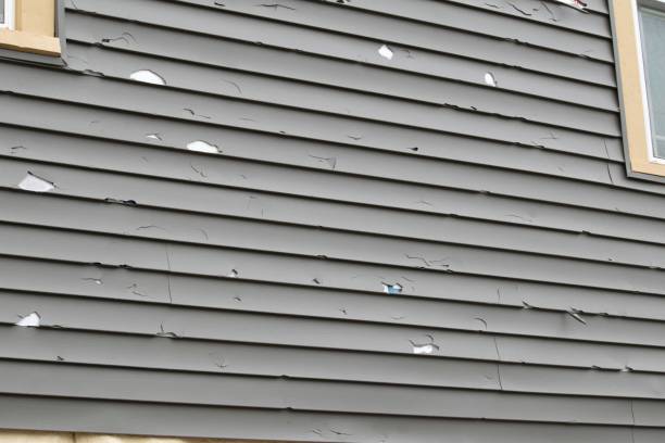 Storm Damage Siding Repair in Batesburg Leesville, SC